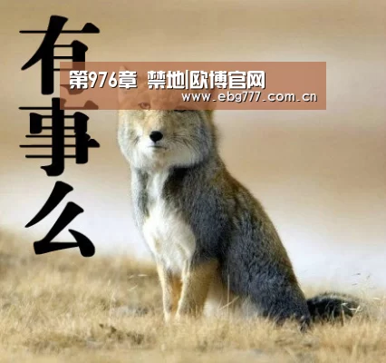 第976章 禁地|欧博官网(图1) 欧博登入