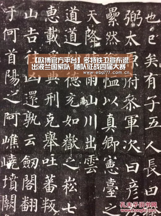 【欧博官方平台】多特铁卫宣布退出波兰国家队 随队征战四届大赛(图2) 欧博游戏
