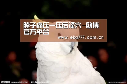 脖子痛压一压后溪穴-欧博官方平台(图1) 欧博官方平台