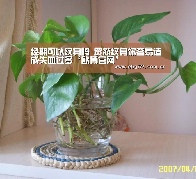 经期可以纹身吗 贸然纹身你容易造成失血过多‘欧博官网’(图4) 欧博登入