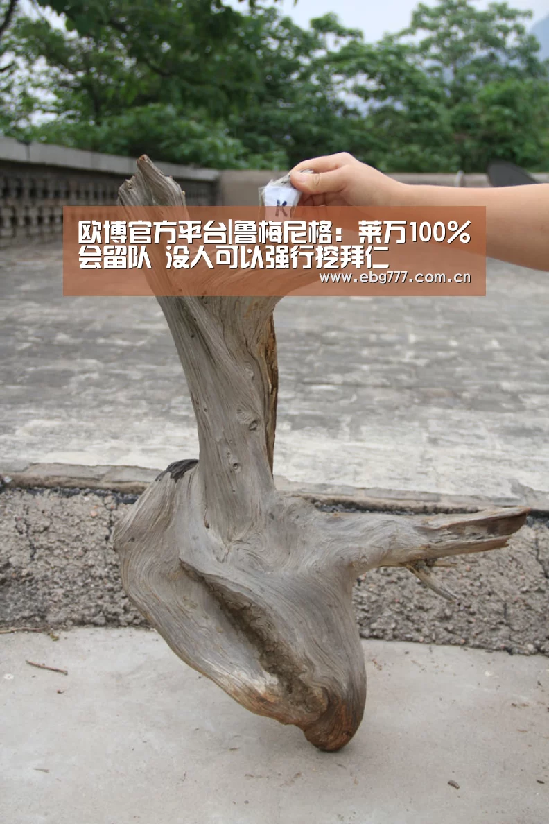 欧博官方平台