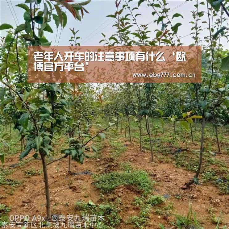 欧博官网